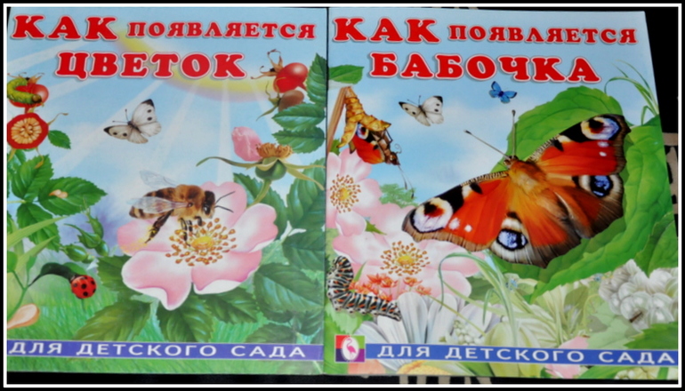 Книгообзор 5