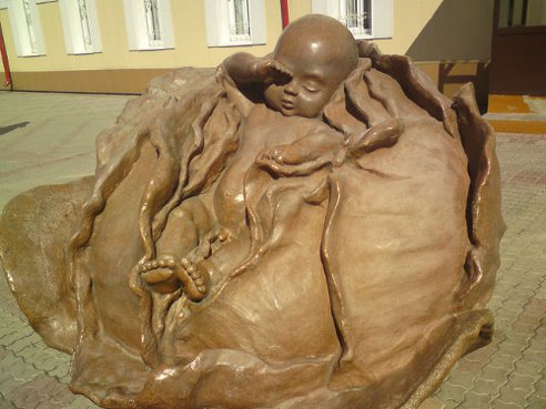 какая прелесть. У роддома.