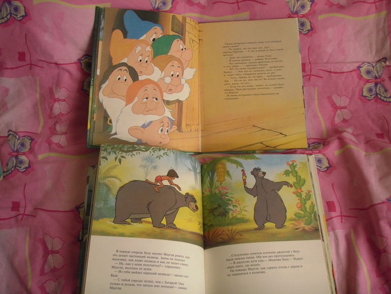 Книжные запасы