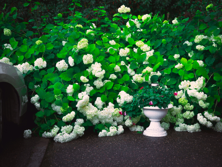 Мини-отпуск