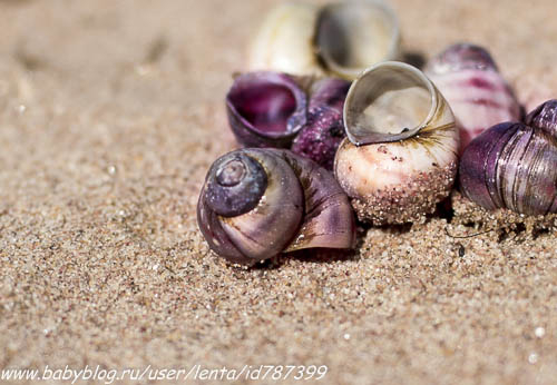 Майские на волне вежливости. Где мы были, как мы жили.