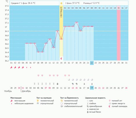 Когда была овуляция?