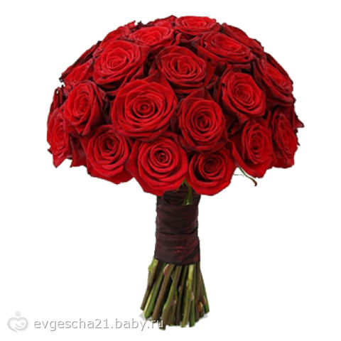9aed92ed2d988bd1d09c806b57fe29a1.jpg
