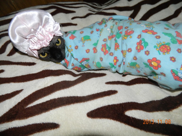 Начало положено!!!