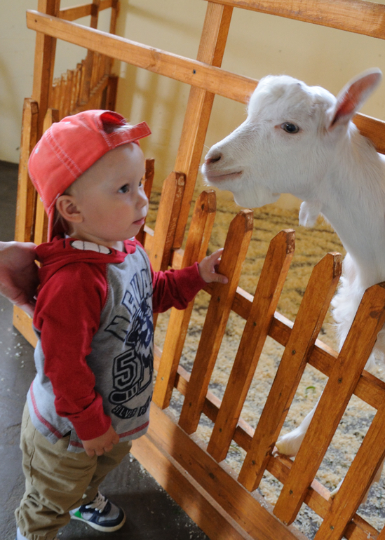 Эзотик парк - впечатления и фото