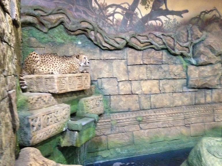 эксерементариум в рио на дмитровке