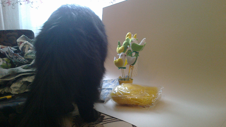 Супер обмен! Супер посылка! Супер жирафик!