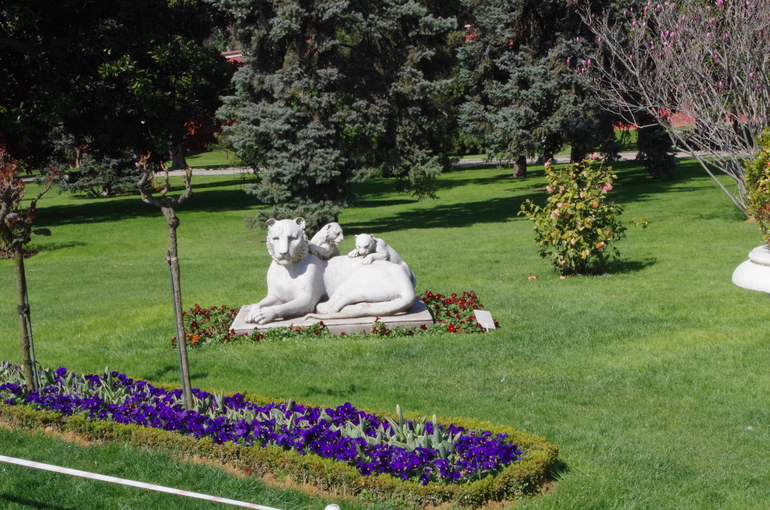 1000 кошек Стамбула