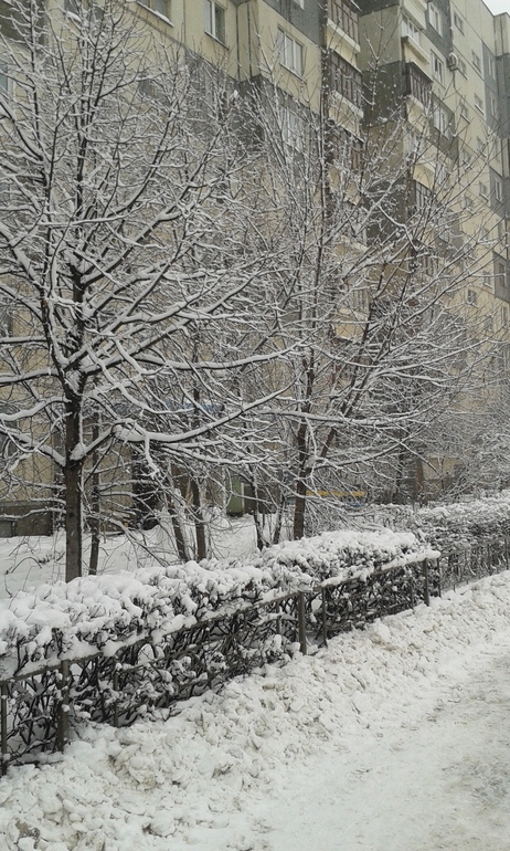 Начало нашей зимы : )