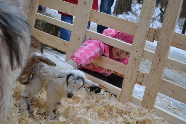 Масленница в зверинце на Поляне Невест, г.Ступино