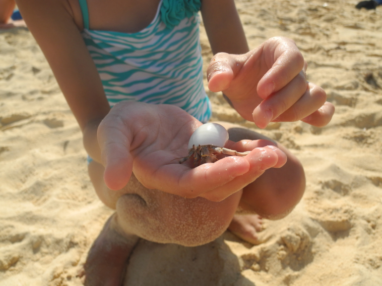 Beach Albatros Garden