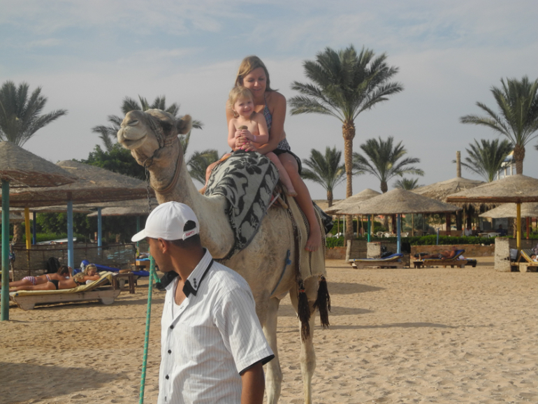 Beach Albatros Garden