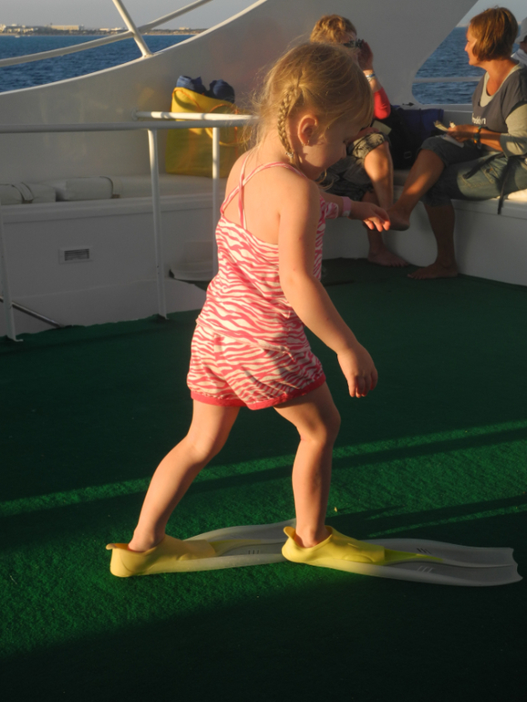 Beach Albatros Garden