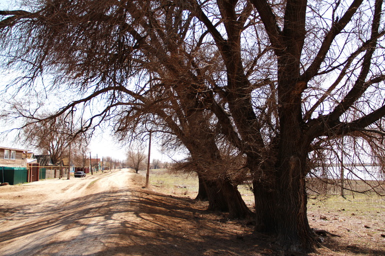 Веснаа в Астраханской деревне