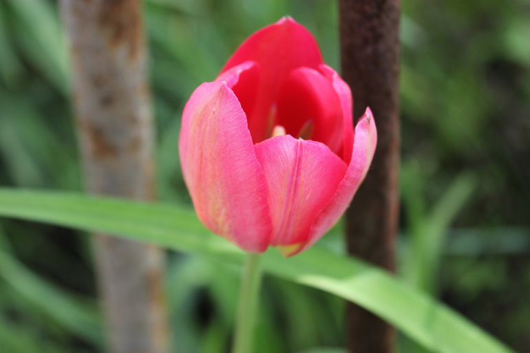 Наша первая поездка!=))))Отдых и умелки!!!