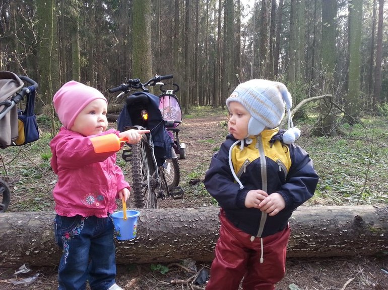 Воскресная прогулка в лесу