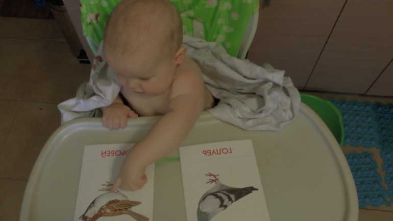 ТН Осень Д.5