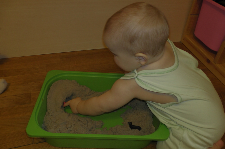 ФМ Домашние животные