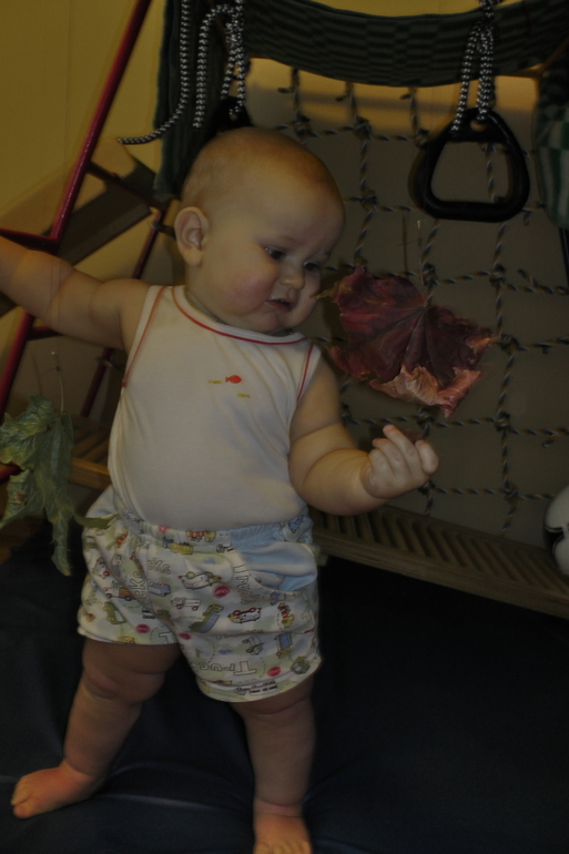 ТН Осень Д.1