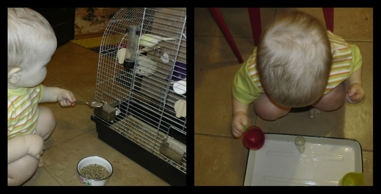 ТД "Мы едем, едем, едем.."