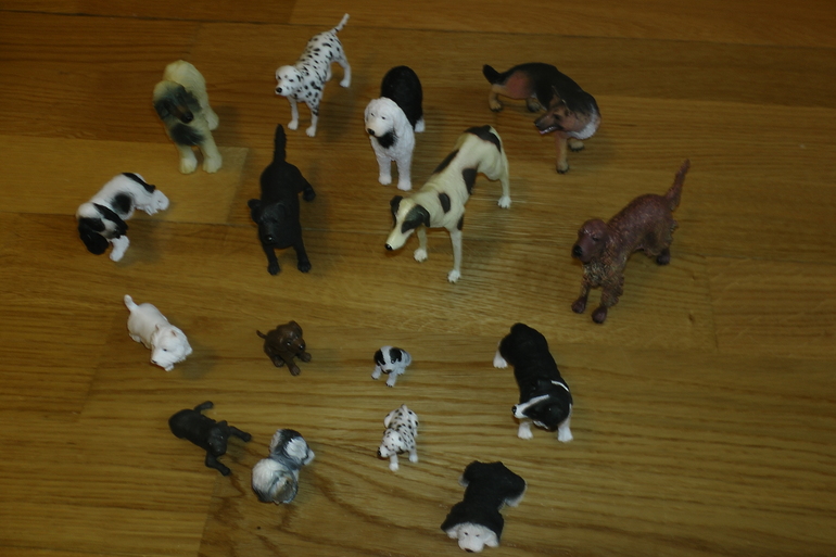 ФМ Домашние животные