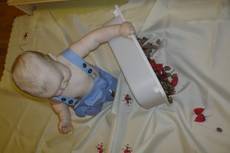 ТН Осень Д.1