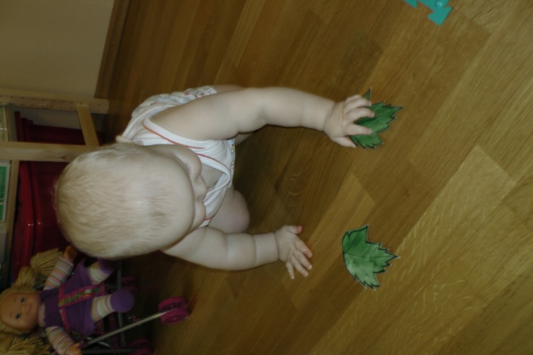 ТН Осень Д.1