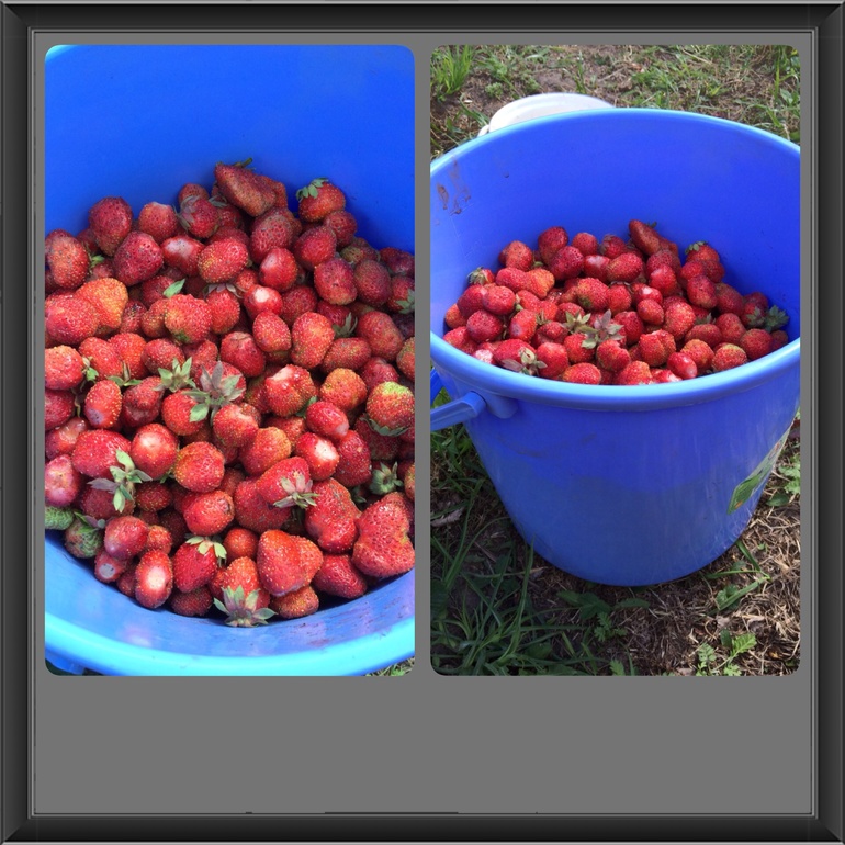 Наша коубничка