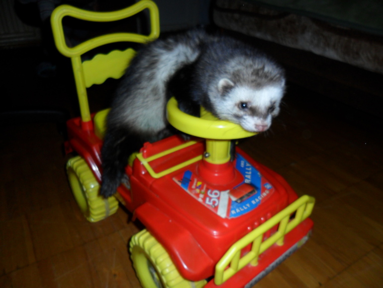 Ираклий фон Афферди...