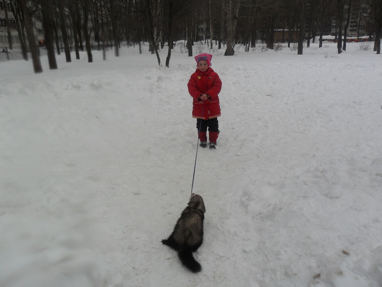 Ираклий фон Афферди...