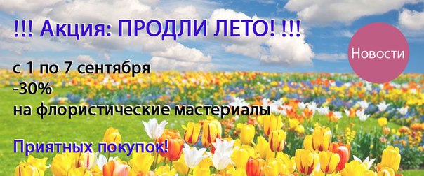 Продлили до лета. Продлят лето до 1 октября. Продление акции Здравствуй лето. Давайте продлим лето.