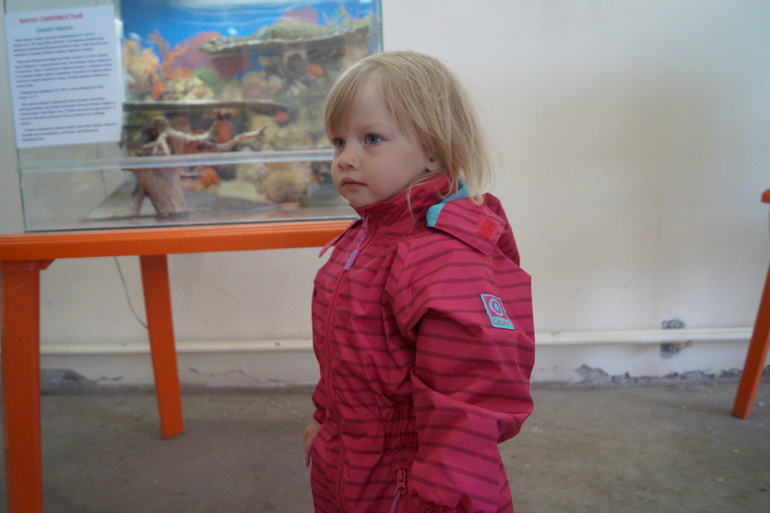 Выставка животных, неоднозначное мнение