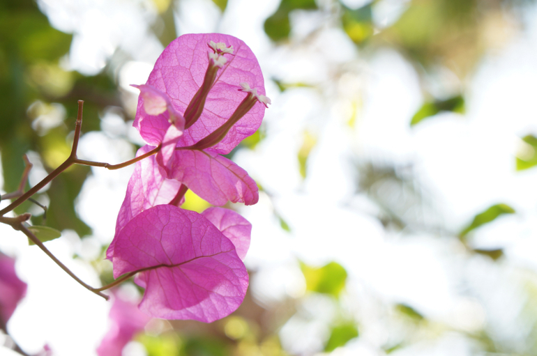 Весна в Хургаде