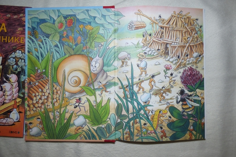 Онджей Секора