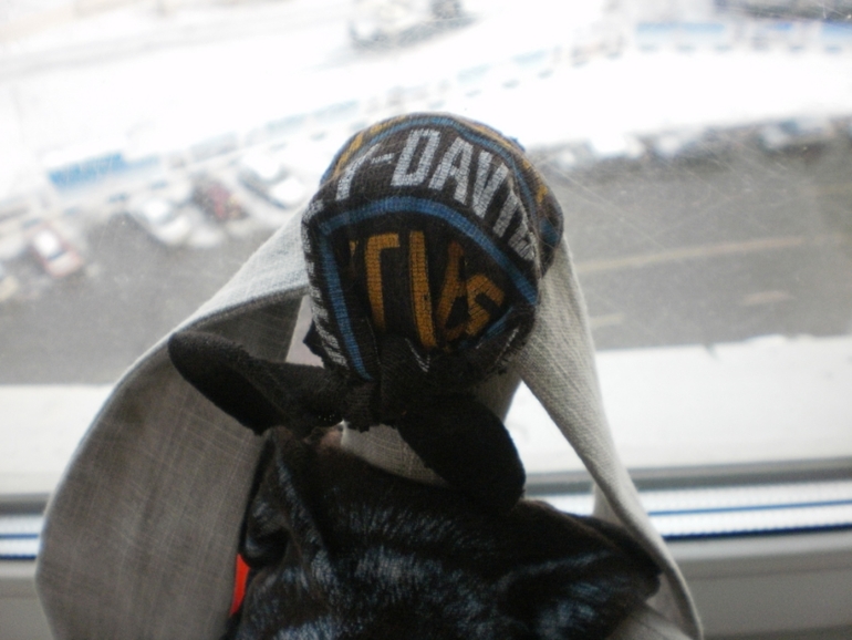 Заяц-байкер