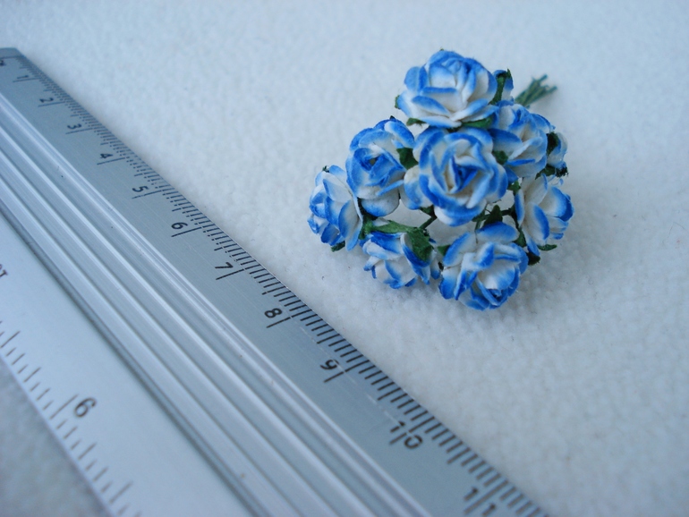 Расхомяк ( Украина)