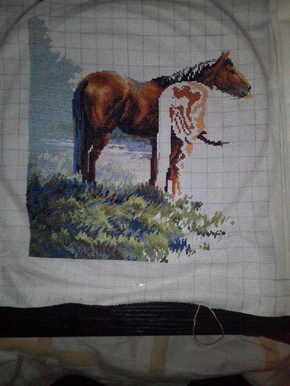 лошади у ручья(дим)