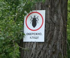 Осторожно клещи!!!