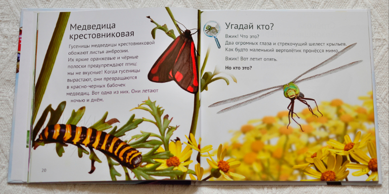 Эту книгу мы возьмем с собой на дачу - 2