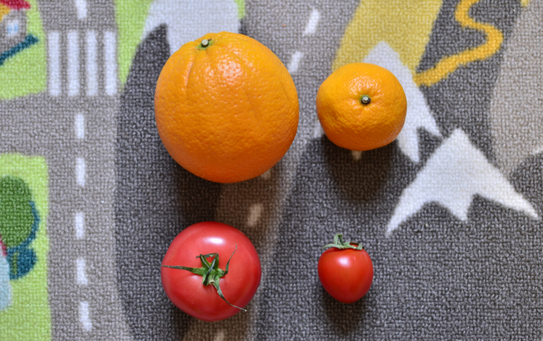 Как мы изучали овощи и фрукты