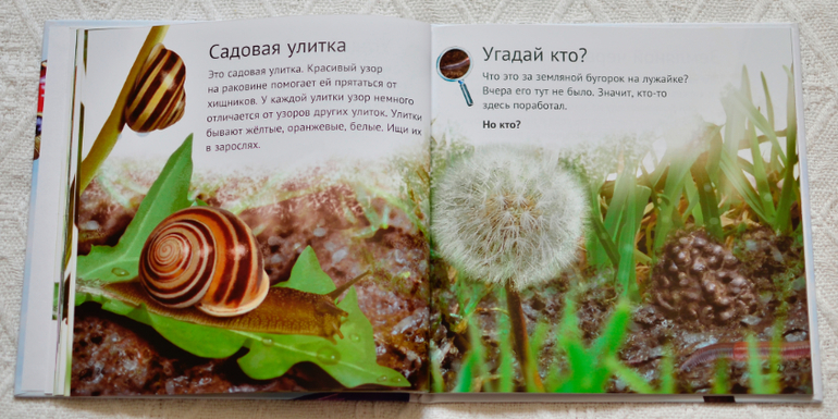 Эту книгу мы возьмем с собой на дачу - 2