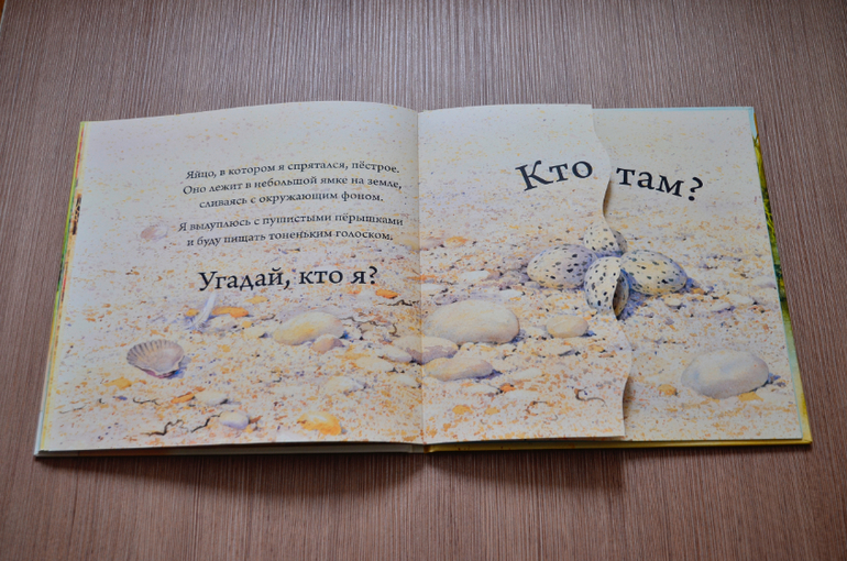 Кто вылупляется из яйца?