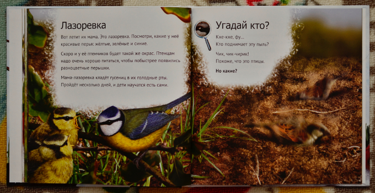 Эту книгу мы возьмем с собой на дачу!