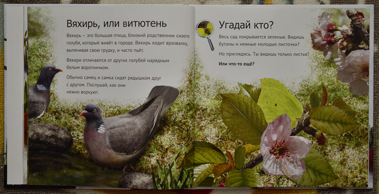 Эту книгу мы возьмем с собой на дачу!