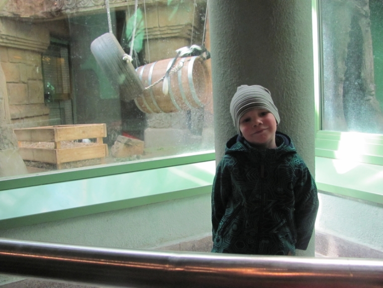 happy birthday to you...and moscow zoo