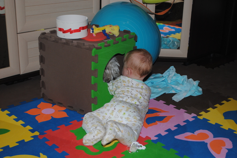 Полугодовасие