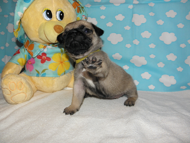 Вот нам уже и месяц)))