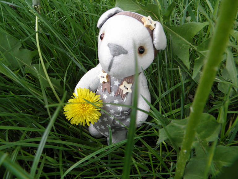 С неба звёздочка упала...