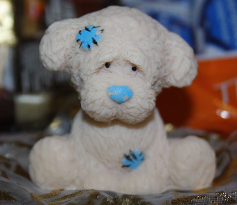 а вот и наш крокодильчик приехал