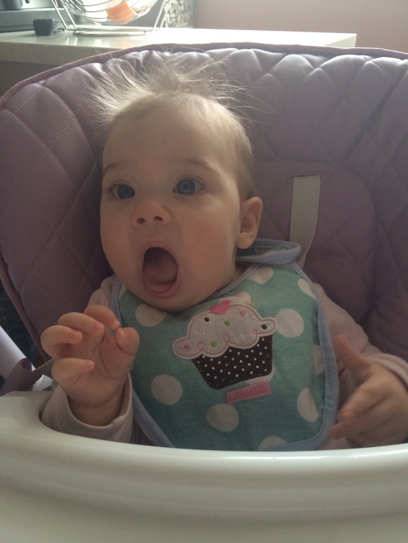 Наш прикорм или что едим к 7м5д